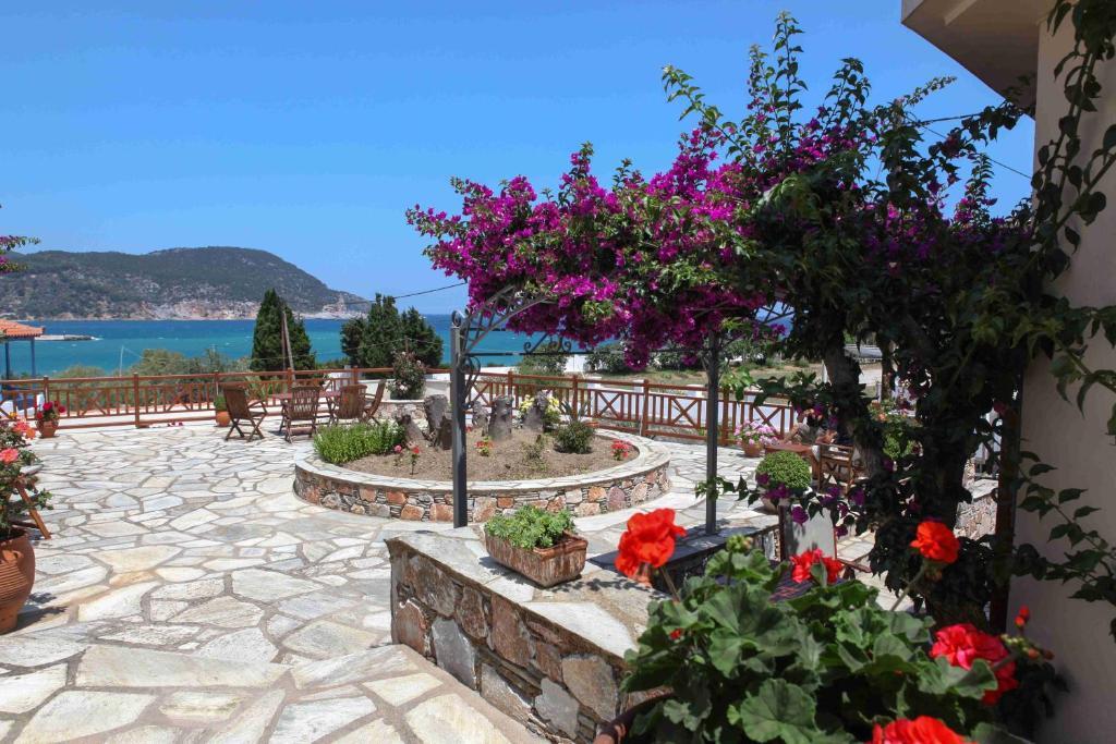Pleoussa Studio And Apartments Skopelos stad Exteriör bild